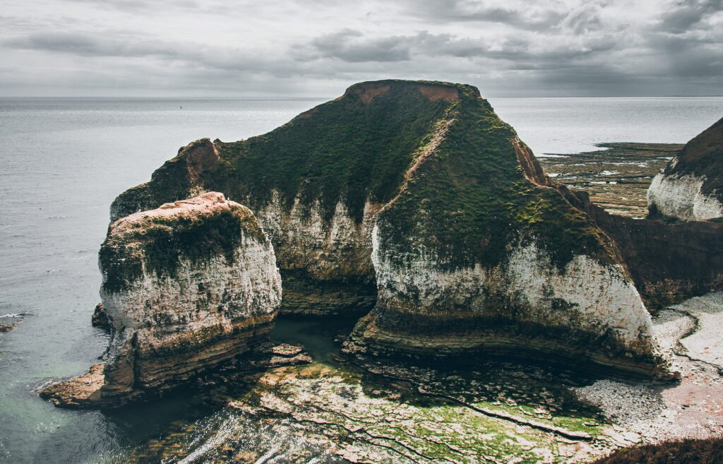 Flamborough Head on cost of East Yorkshire, drinking Dinosaur